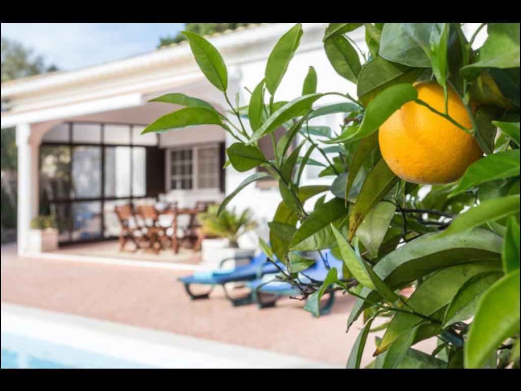 Villa Vilamar Поршеш Екстериор снимка